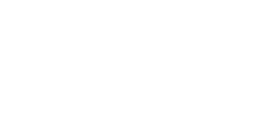 Bridge Advice logo